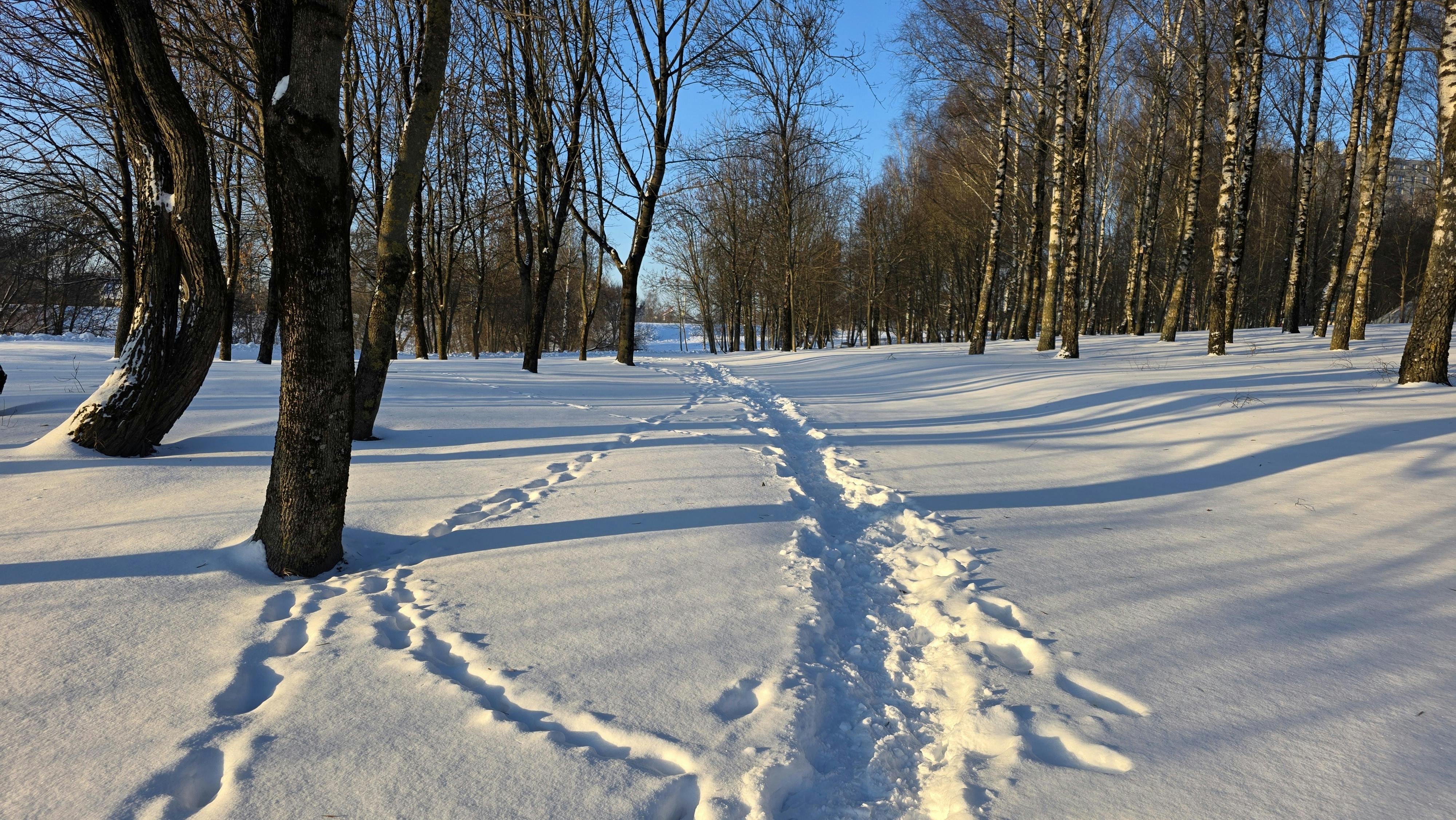 Is Round Lab Birch Juice Moisturizing Sunscreen Worth $28? Review - Glaze Theory Guide