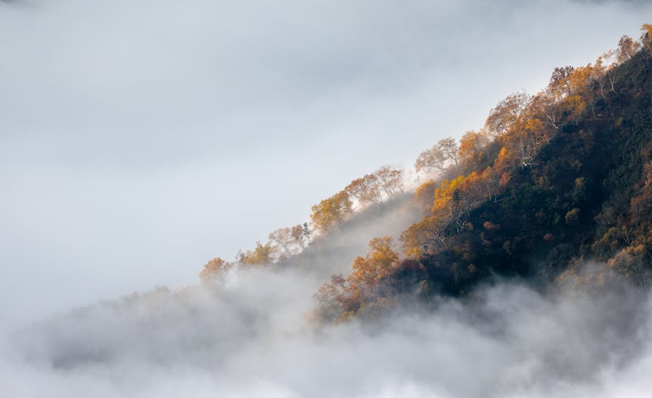 mist-covered mountain trail in Japan - independent cultural walking adventures mist-covered mountain trail in Japan - independent cultural walking adventures