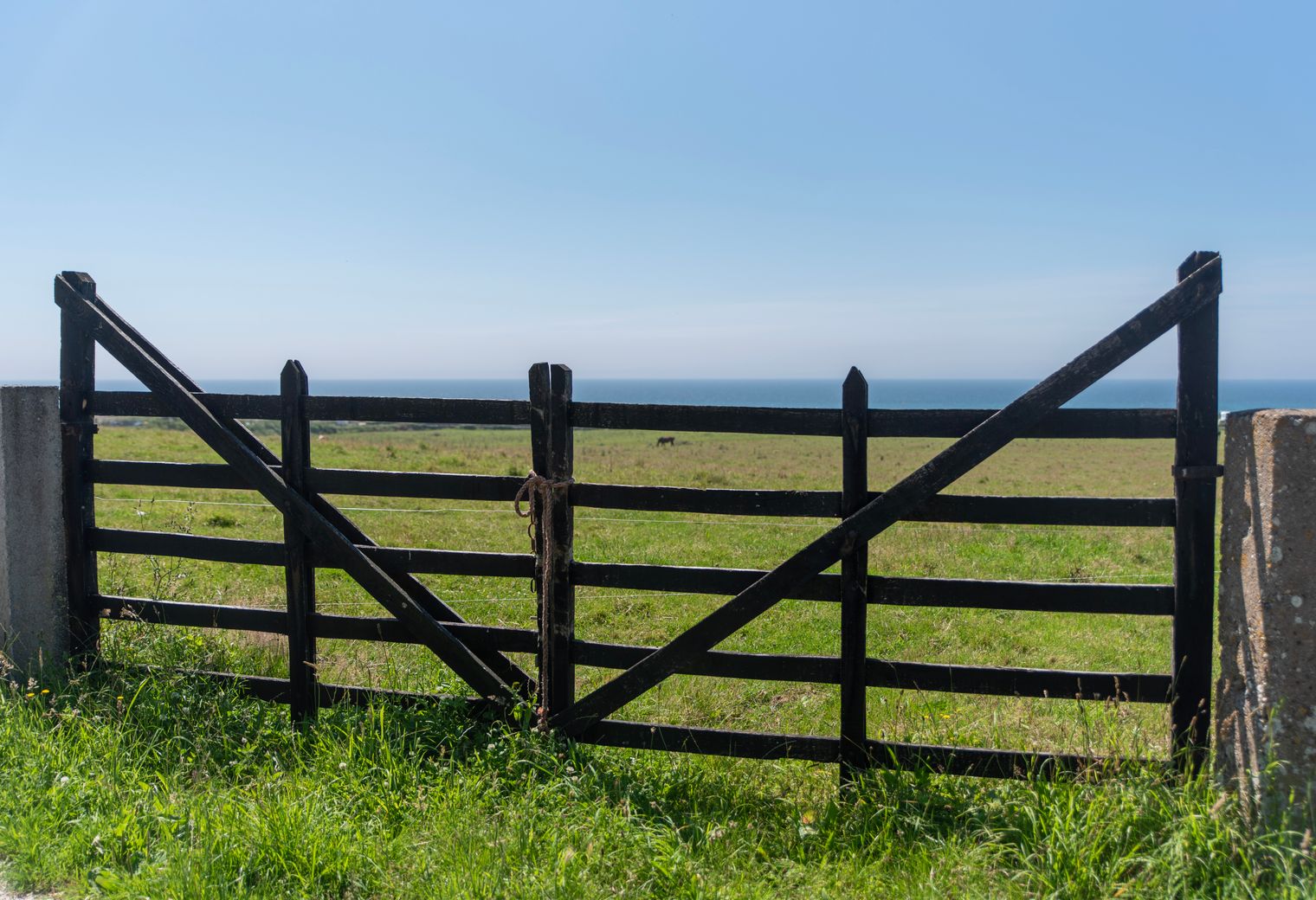 Fence and Decking Painting in Pratts Bottom — the finished result after a professional repaint