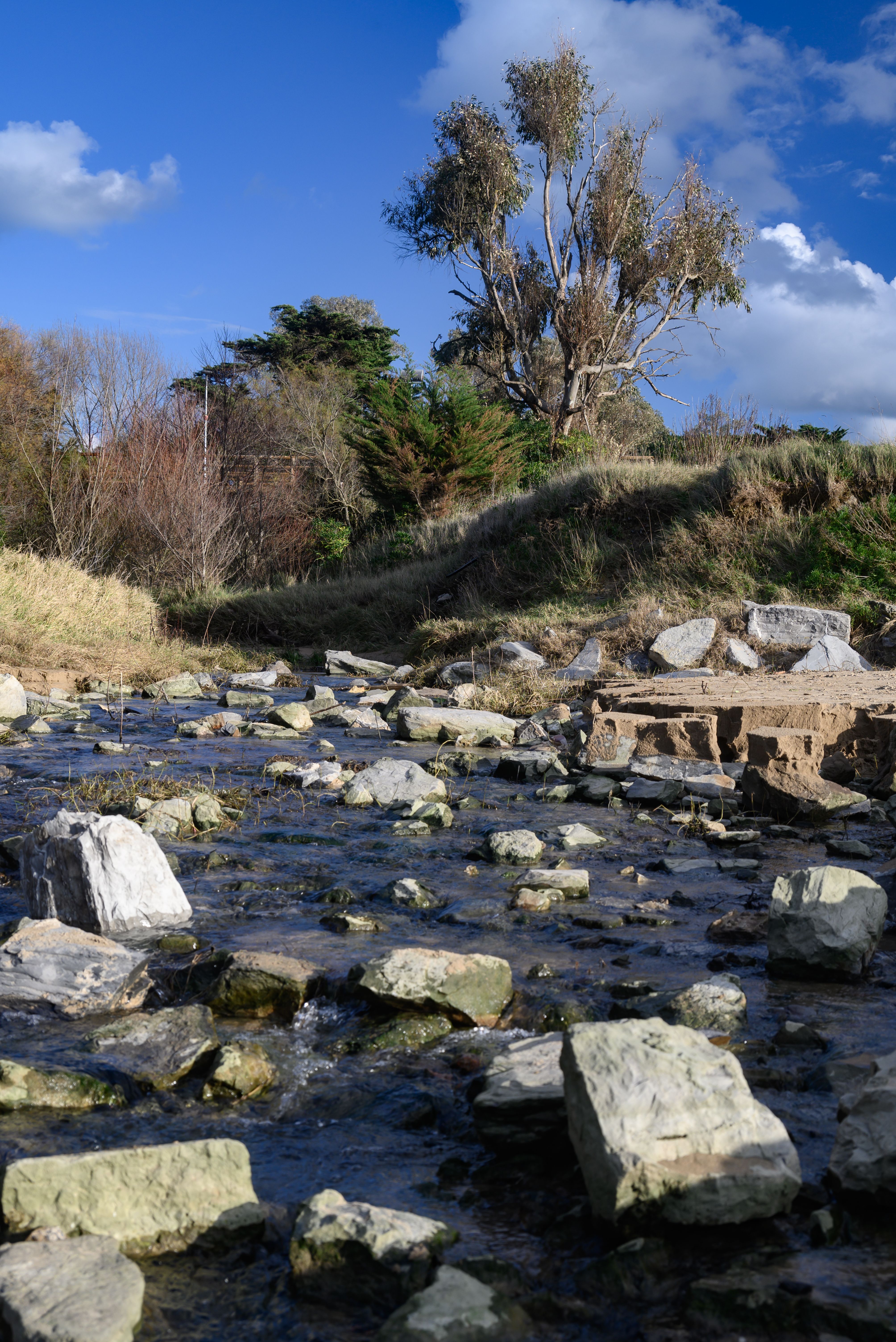 Serene Stream in a Rocky Natural Landscape · Free Stock Photo
