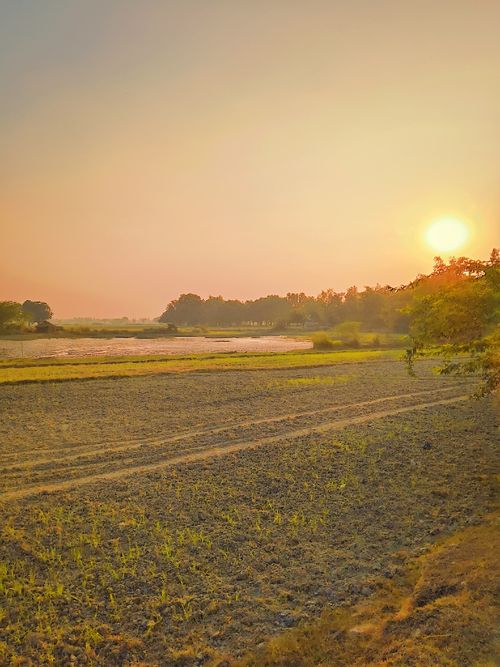 Free stock photo of nature82, naturemoj82, sunset Stock Photo