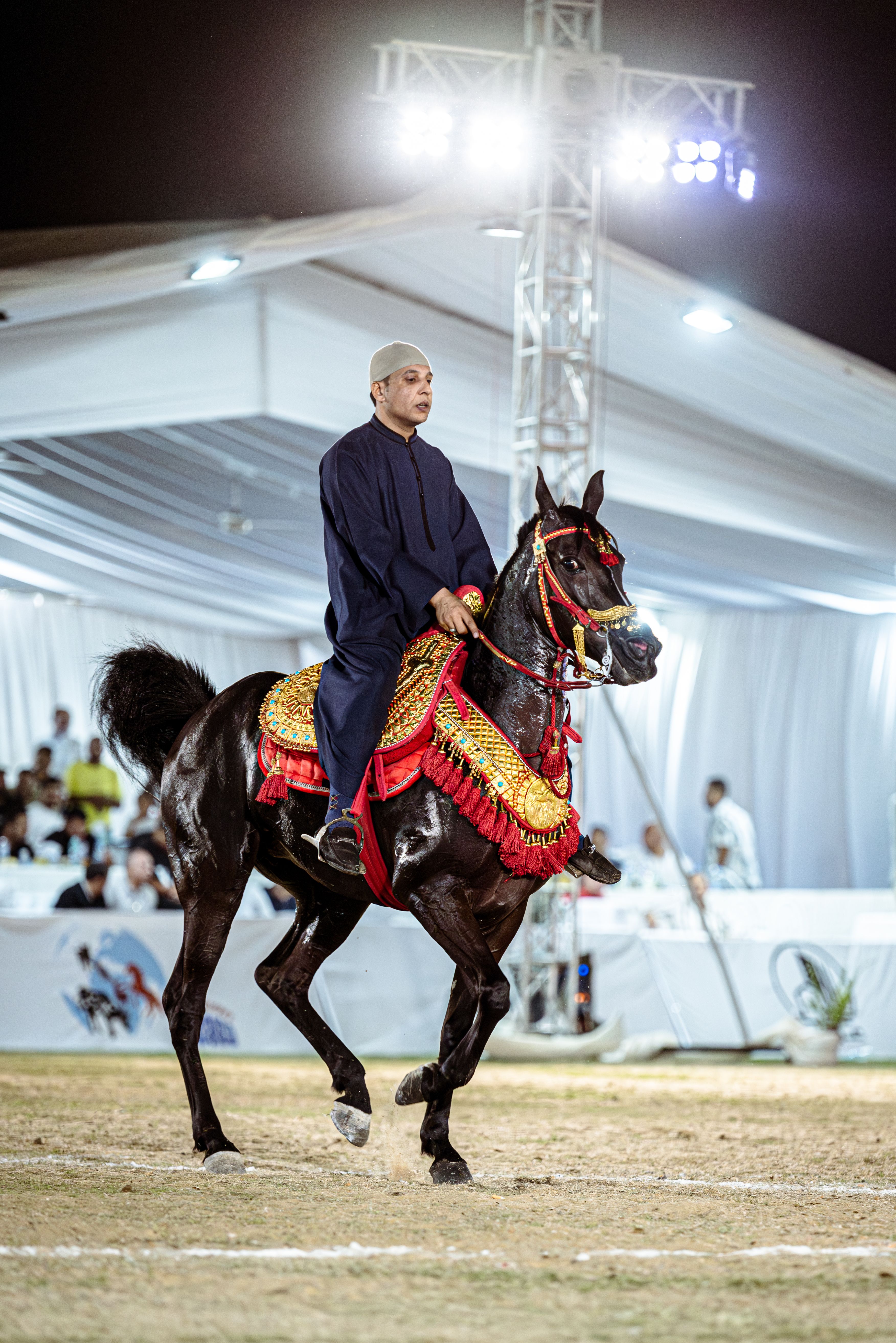 Elegant Arabian Horse Rider in Egyptian Event · Free Stock Photo