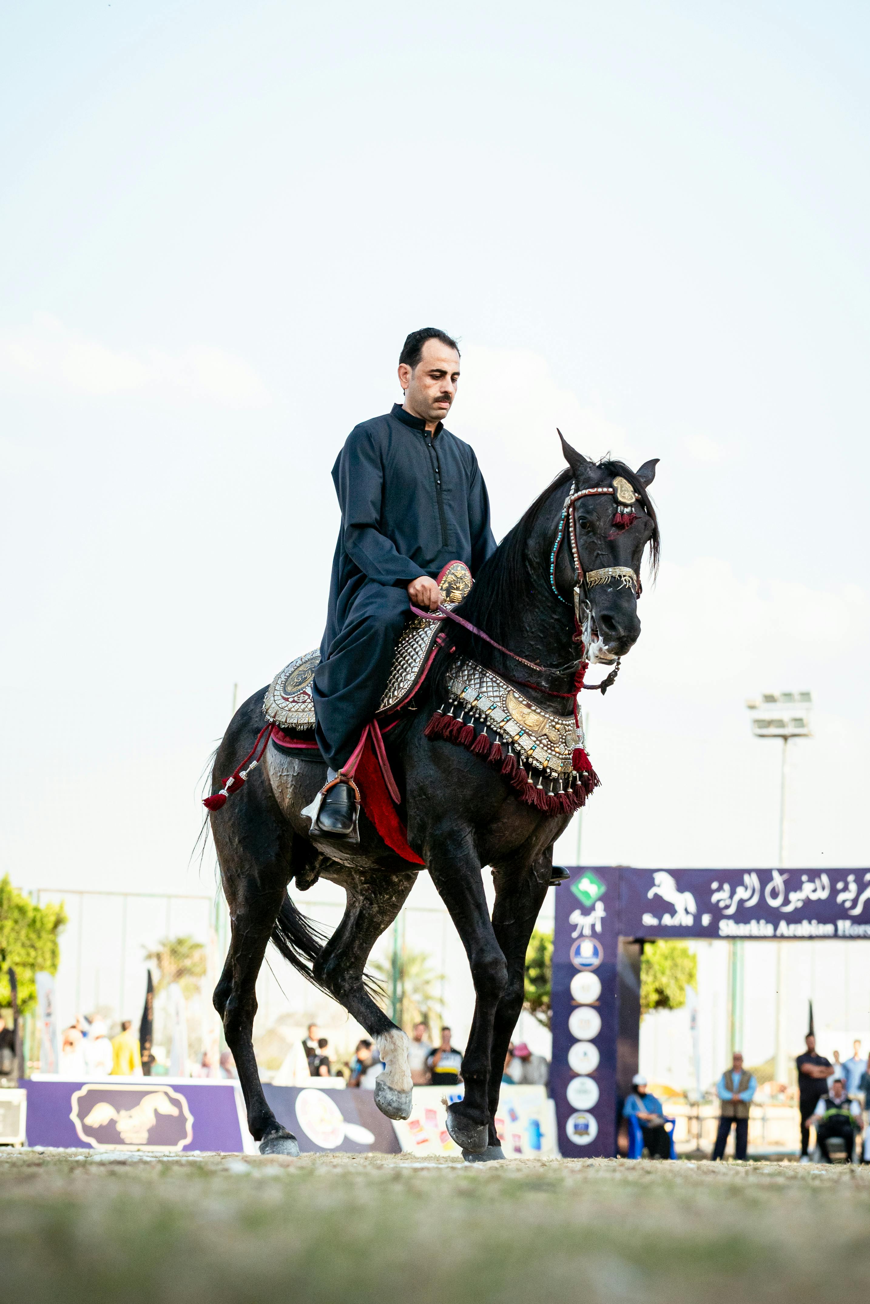 Horse Riding Its Benefits