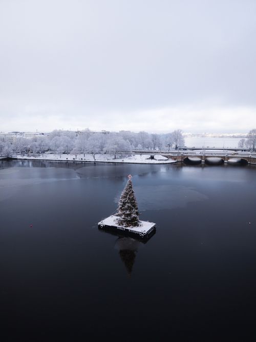 Free Peaceful winter landscape of a snow-covered Christmas tree on Alster Lake in Hamburg, Germany. Stock Photo
