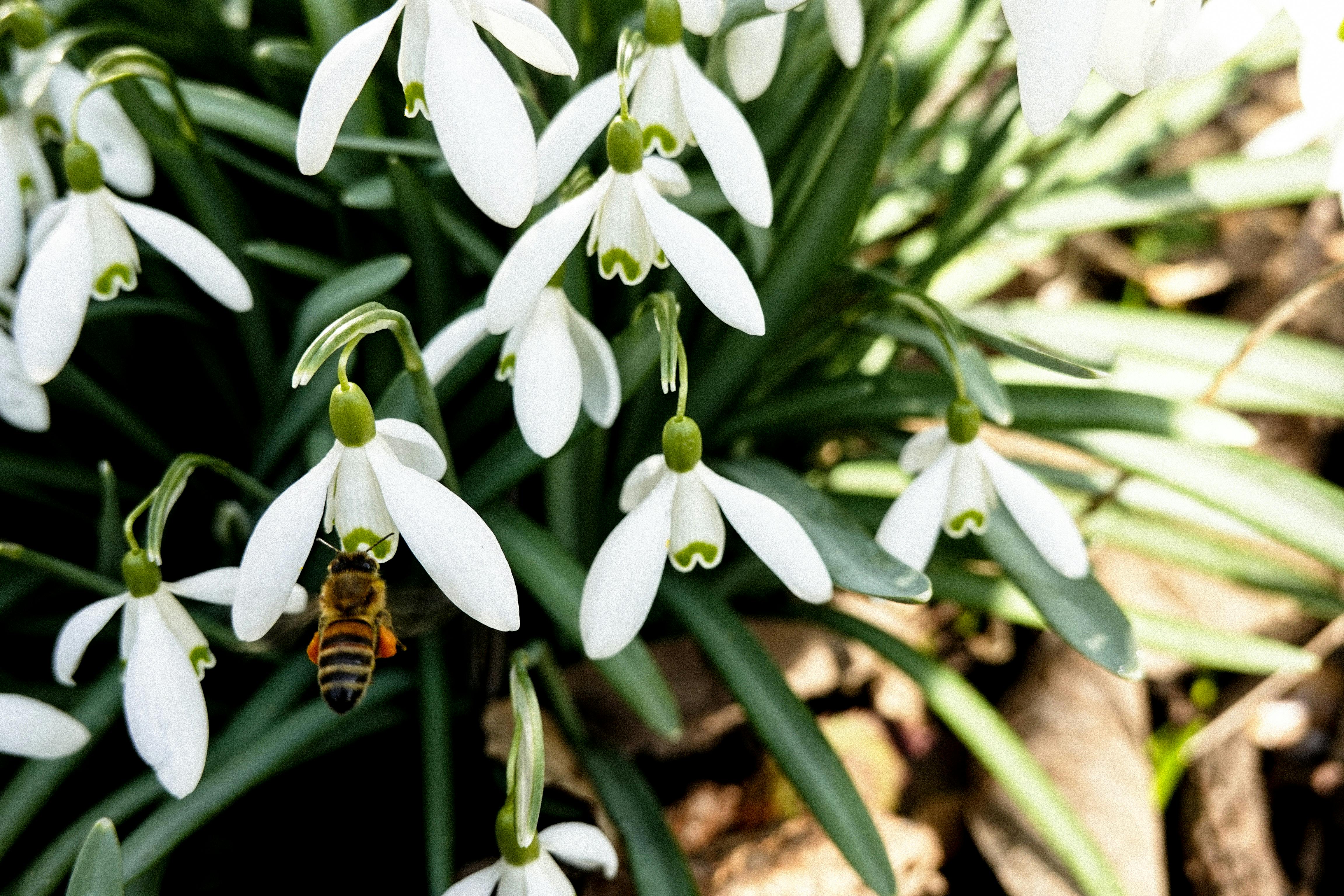 Ark Valley Civics Bee Competition to Send Three Local Students to State — Photo by Eva Kristiansson on Pexels
