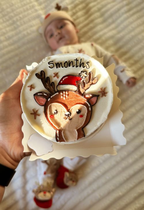 Free Sweet baby celebrates five months with festive reindeer cake. Stock Photo