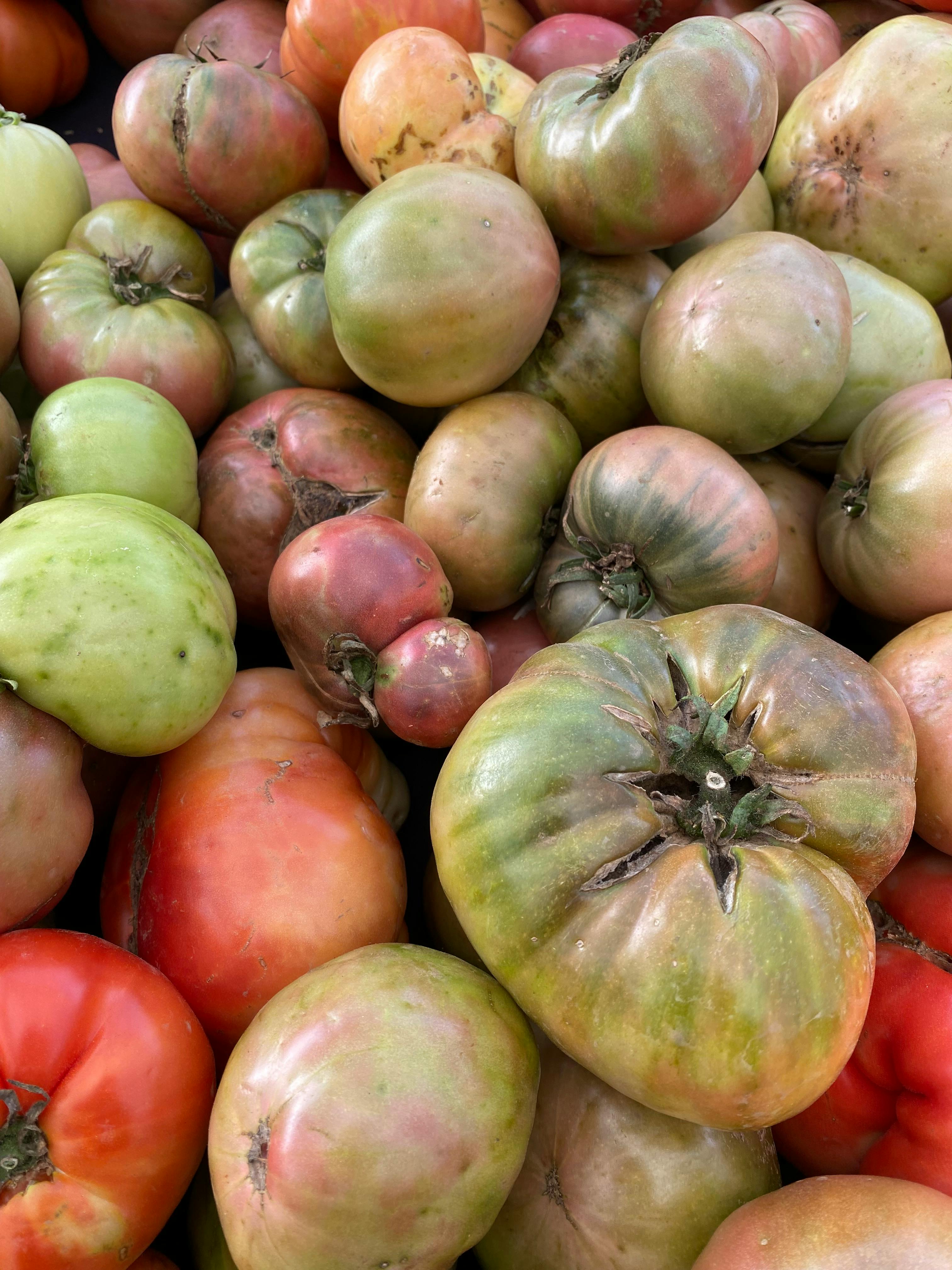 Enhancing ‌Flavor and​ Texture in Your Tomatoes