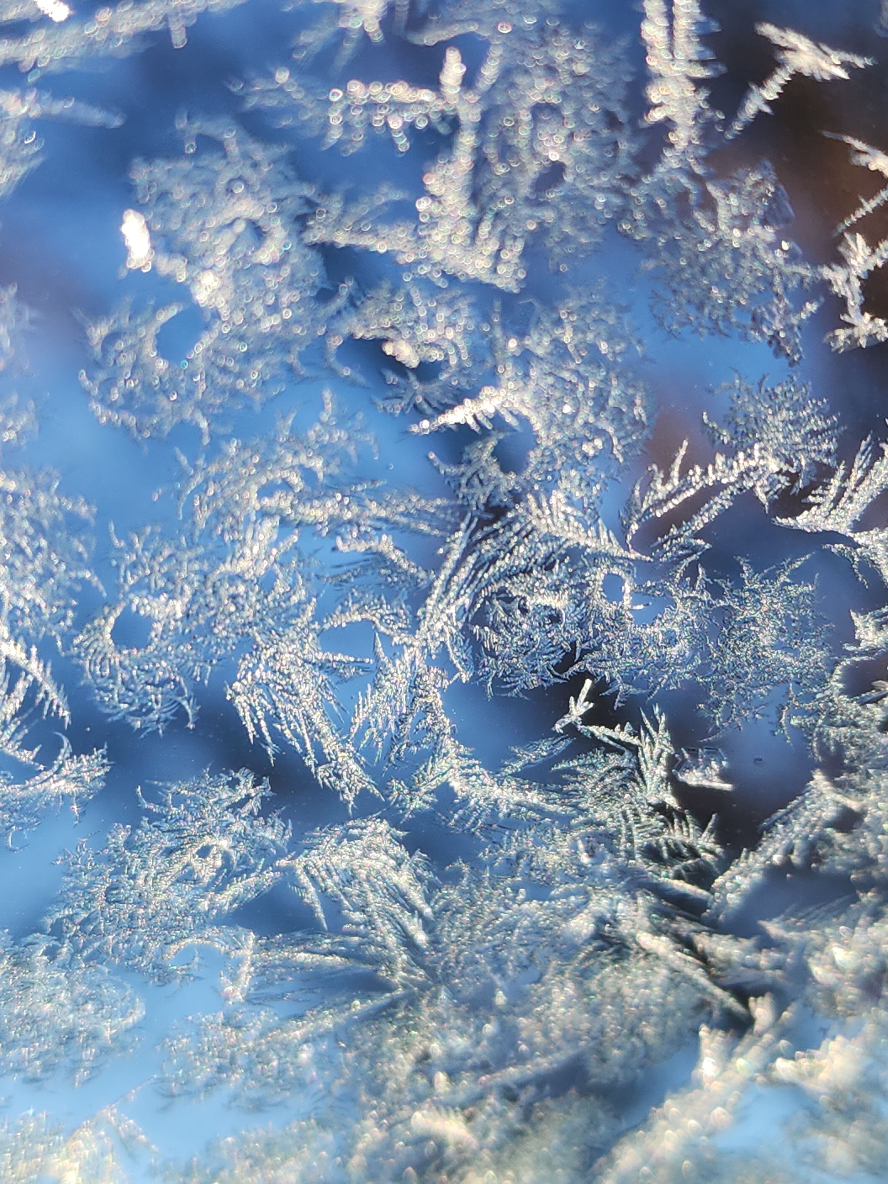 Detailed frosty patterns on glass against a winter sky in Northbrook, IL.
