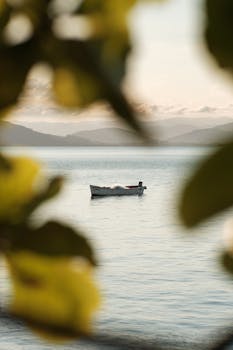 Serene boat floating on still waters framed by leaves, in Santa Catarina, Brazil.