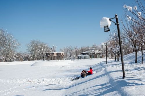Free Two people enjoying a sunny winter day in a snowy park with lamp posts and trees. Stock Photo