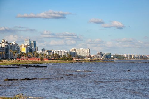 Free A scenic day view of Montevideo's skyline along the river shore with a clear blue sky. Stock Photo
