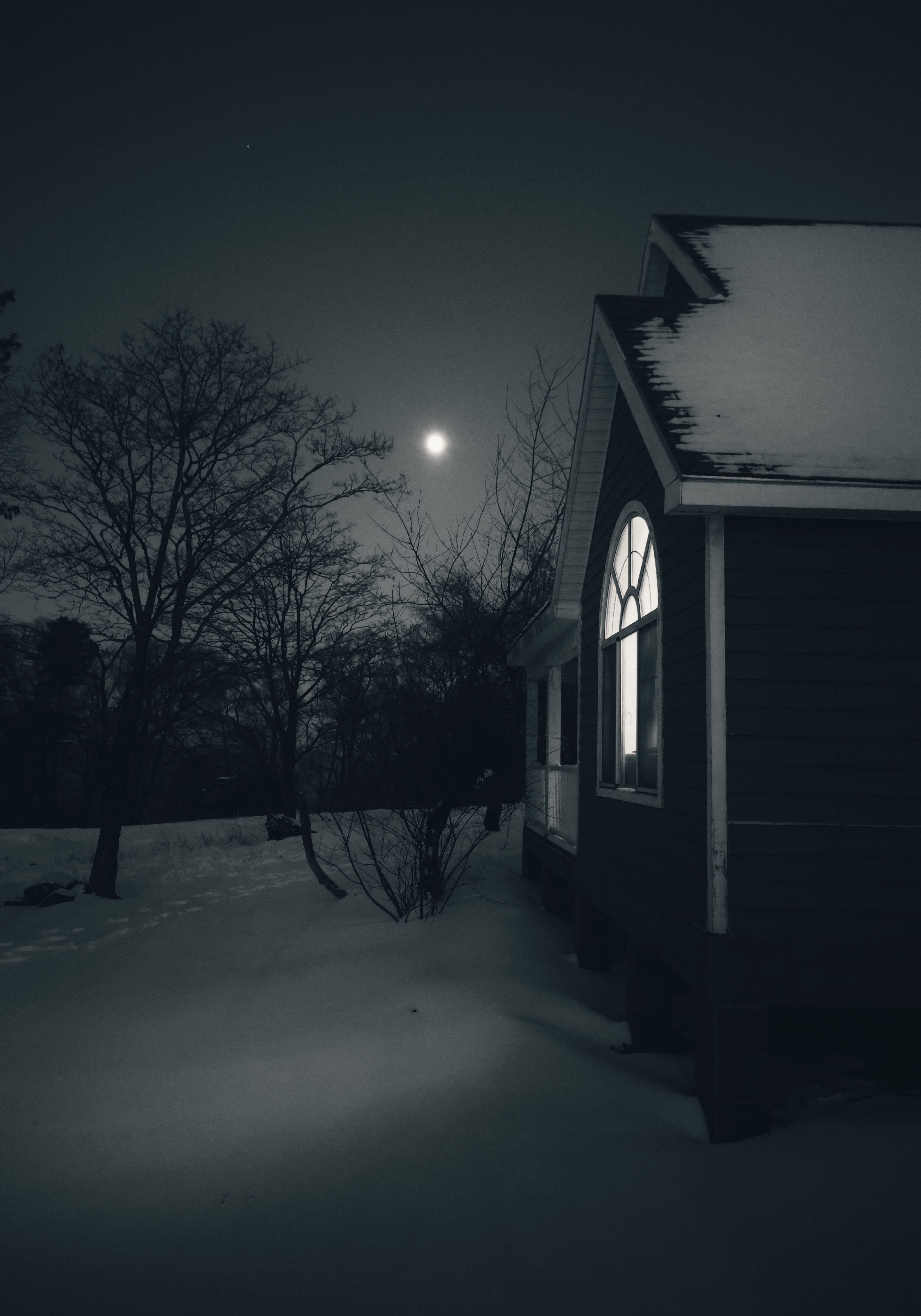 Dean Koontz - Winter Moon (V2.0)