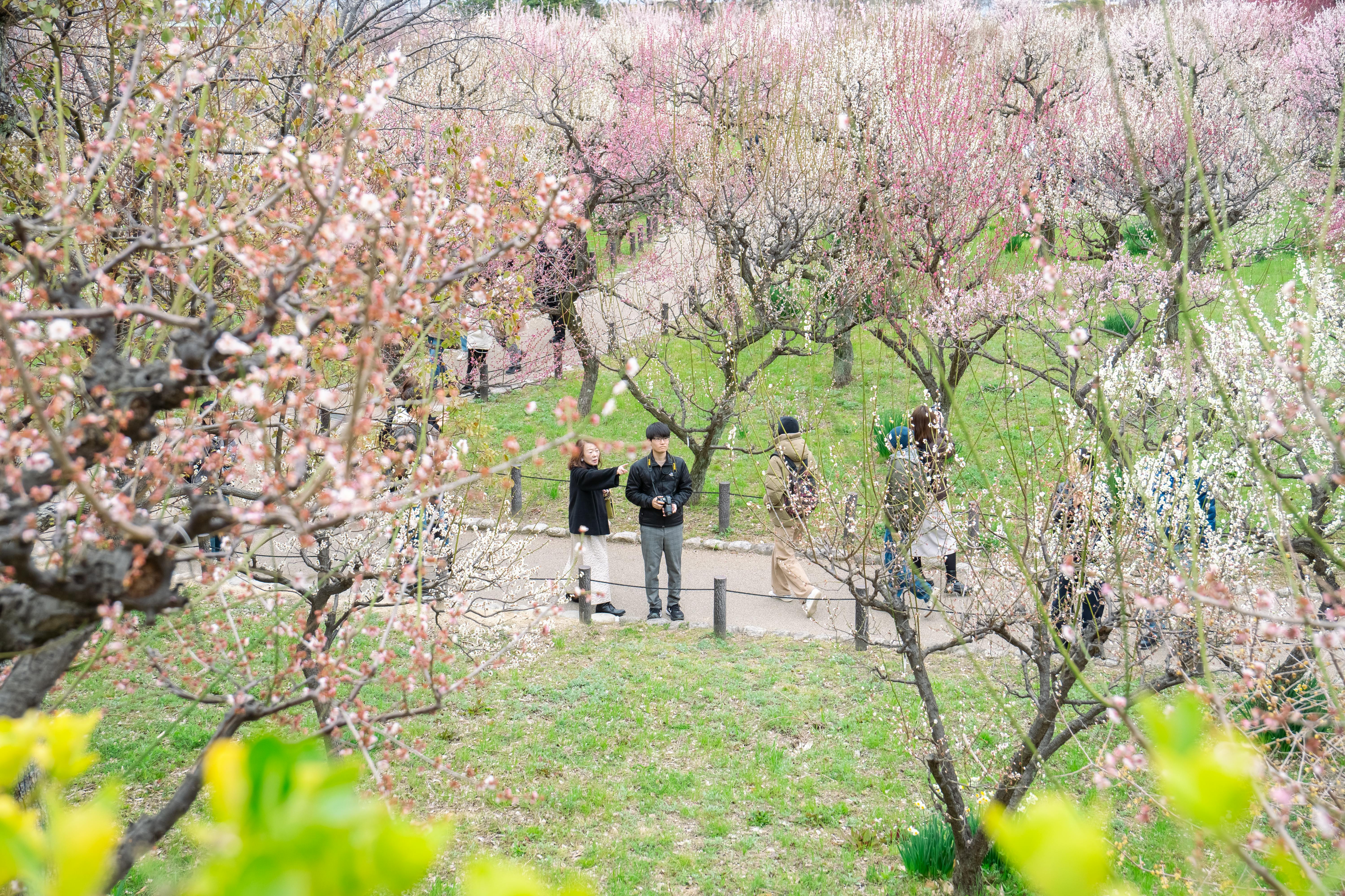 Vue panoramique de Osaka