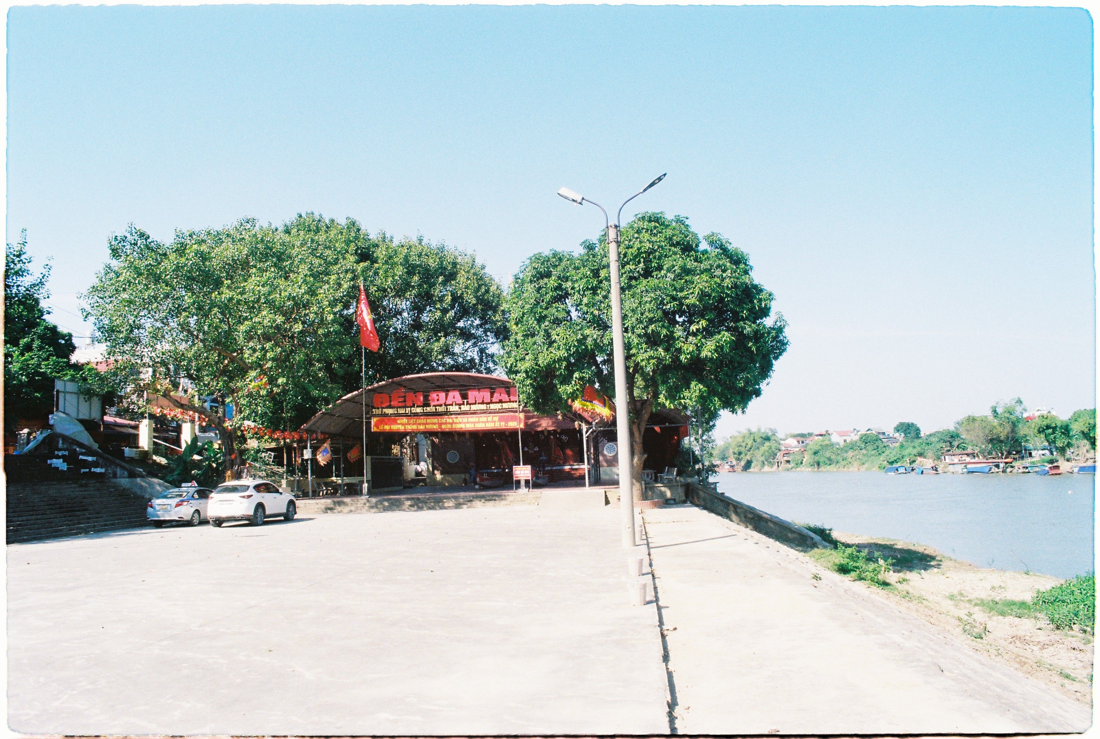 Riverside café with a prominent tree, inviting atmosphere and serene views.