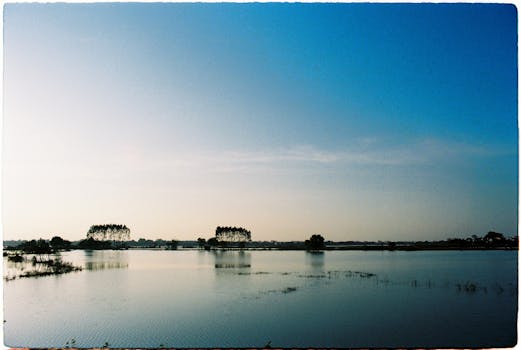 A serene landscape of a calm lake reflecting trees against a vibrant blue sky.