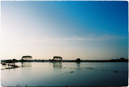 Free A serene landscape of a calm lake reflecting trees against a vibrant blue sky. Stock Photo