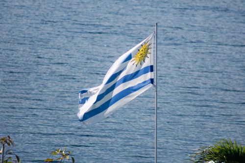 Free stock photo of flag, sur américa, uruguay Stock Photo
