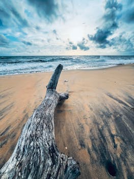 Dramatic beach scene with driftwood on sandy shore and stormy clouds over the ocean.