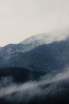 Serene view of fog-covered mountains, perfect for tranquil and nature-focused themes.
