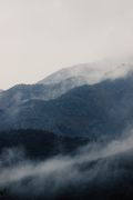 Quiet Rooms cover, photo by Edanur Altın on Pexels