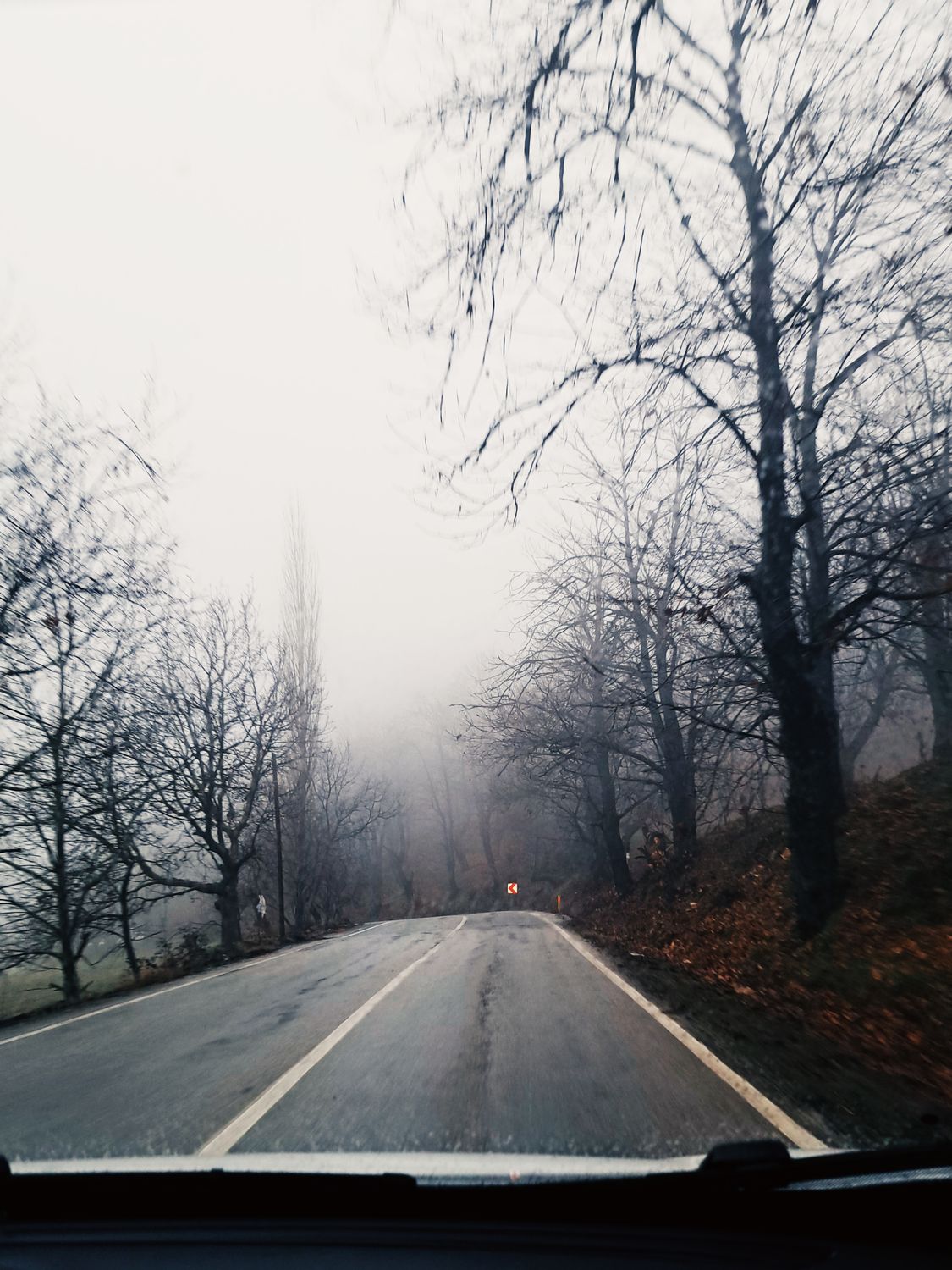 Foggy Autumn Road with Bare Trees · Free Stock Photo