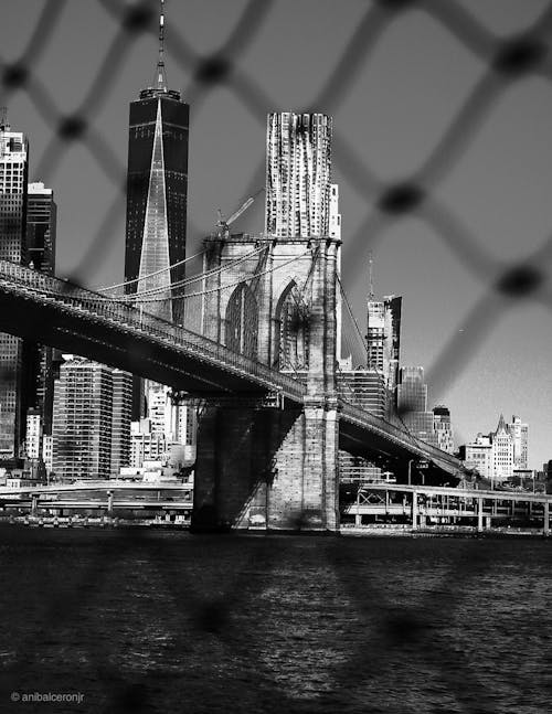 免費 布魯克林大橋 的 免費圖庫相片 圖庫相片