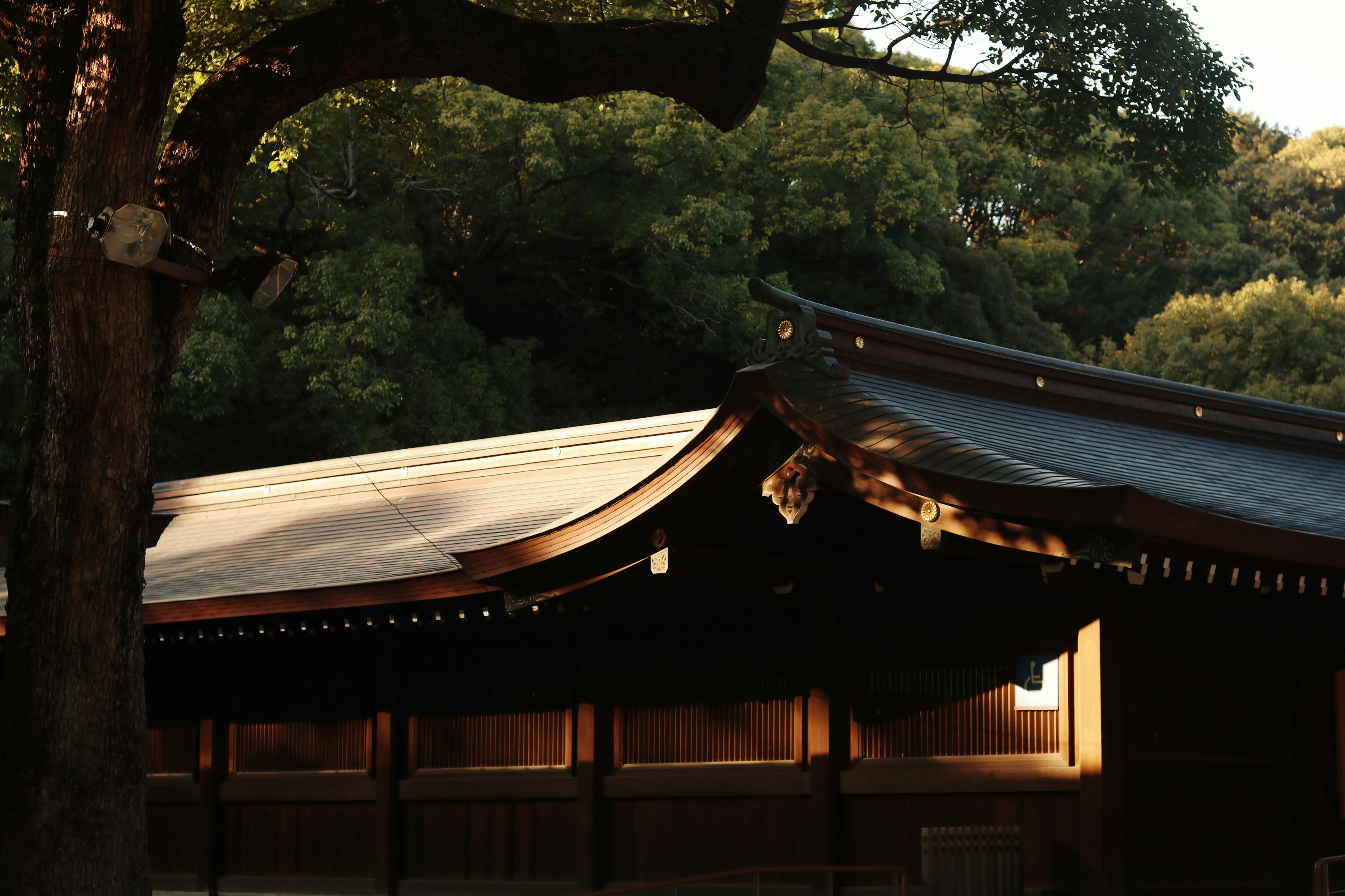 Buddhism In A Nutshell Narada Thera