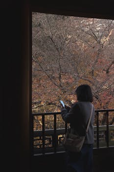 Silhouette of a woman using a smartphone by a window overlooking fall foliage.