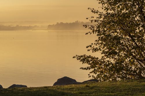 Free Peaceful lake at sunrise with mist and autumn trees, exuding calmness and natural beauty. Stock Photo