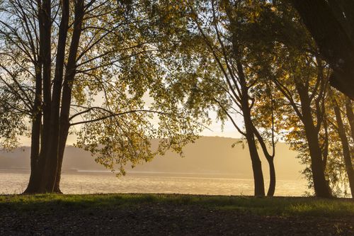 Free Tranquil scene of trees by a lakeside with golden sunset light streaming through the leaves. Stock Photo