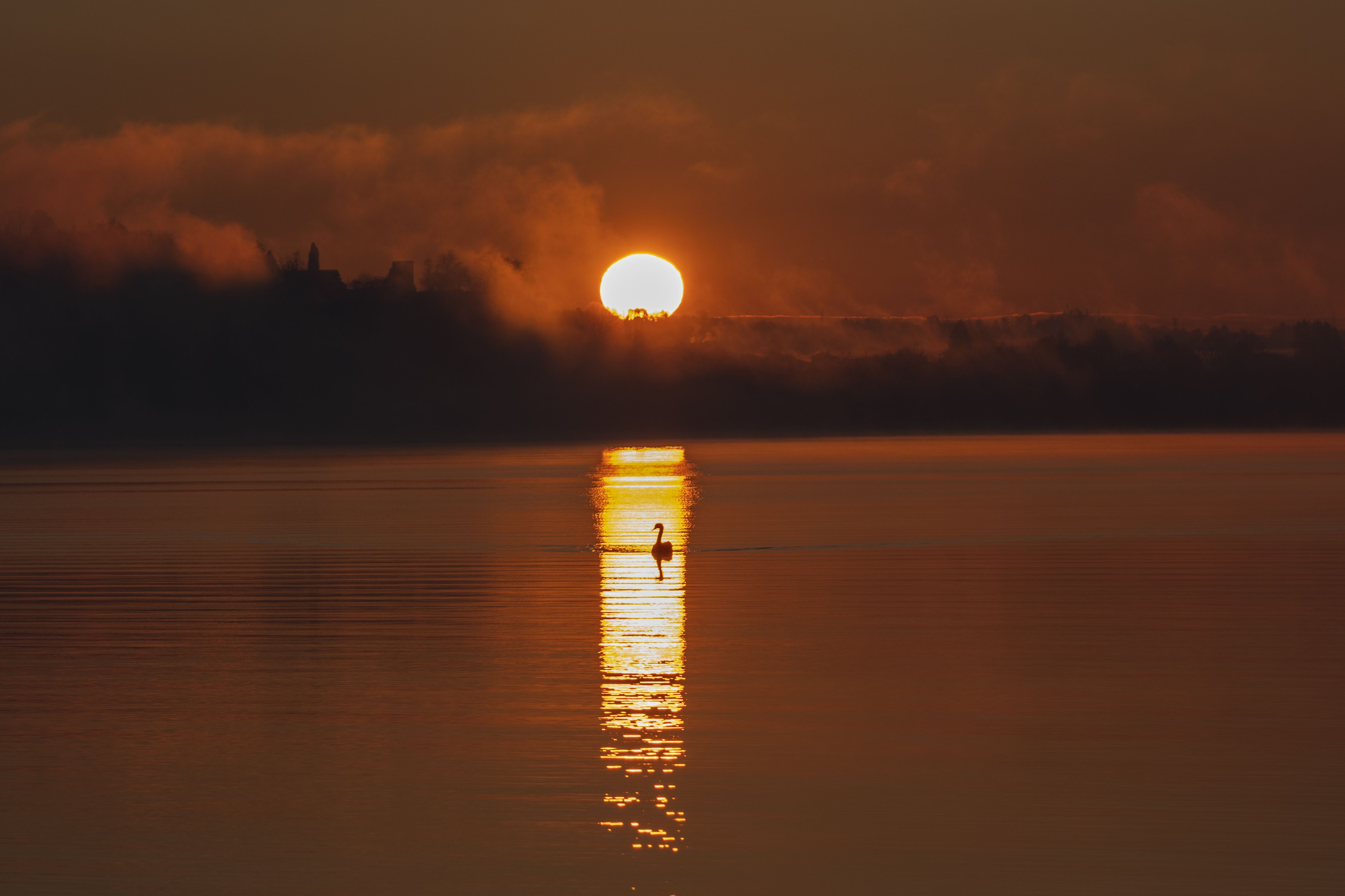 Photographier les paysages de la Camargue au lever du soleil 