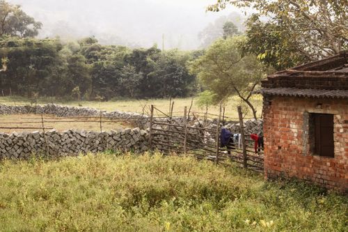 Free A peaceful countryside view featuring a rustic brick house and stone wall in a lush green field. Stock Photo