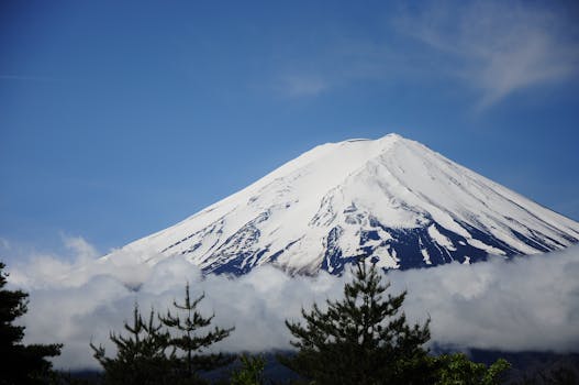 Stunning view of Mount Fuji's snow-capped peak with surrounding forest and clear sky.