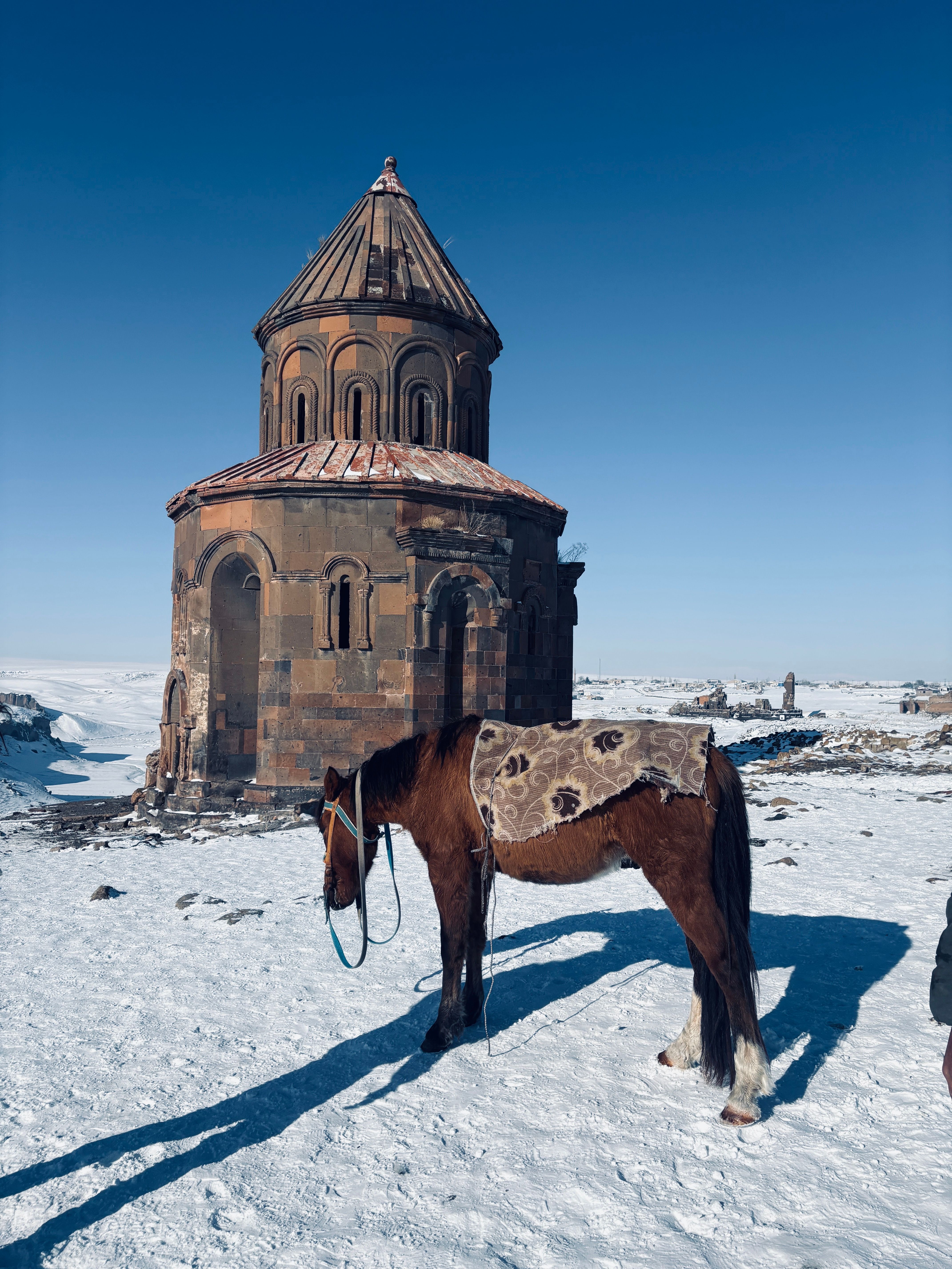 A serene scene of a horse by an ancient church in the snowy landscape of Ani, Türkiye.
