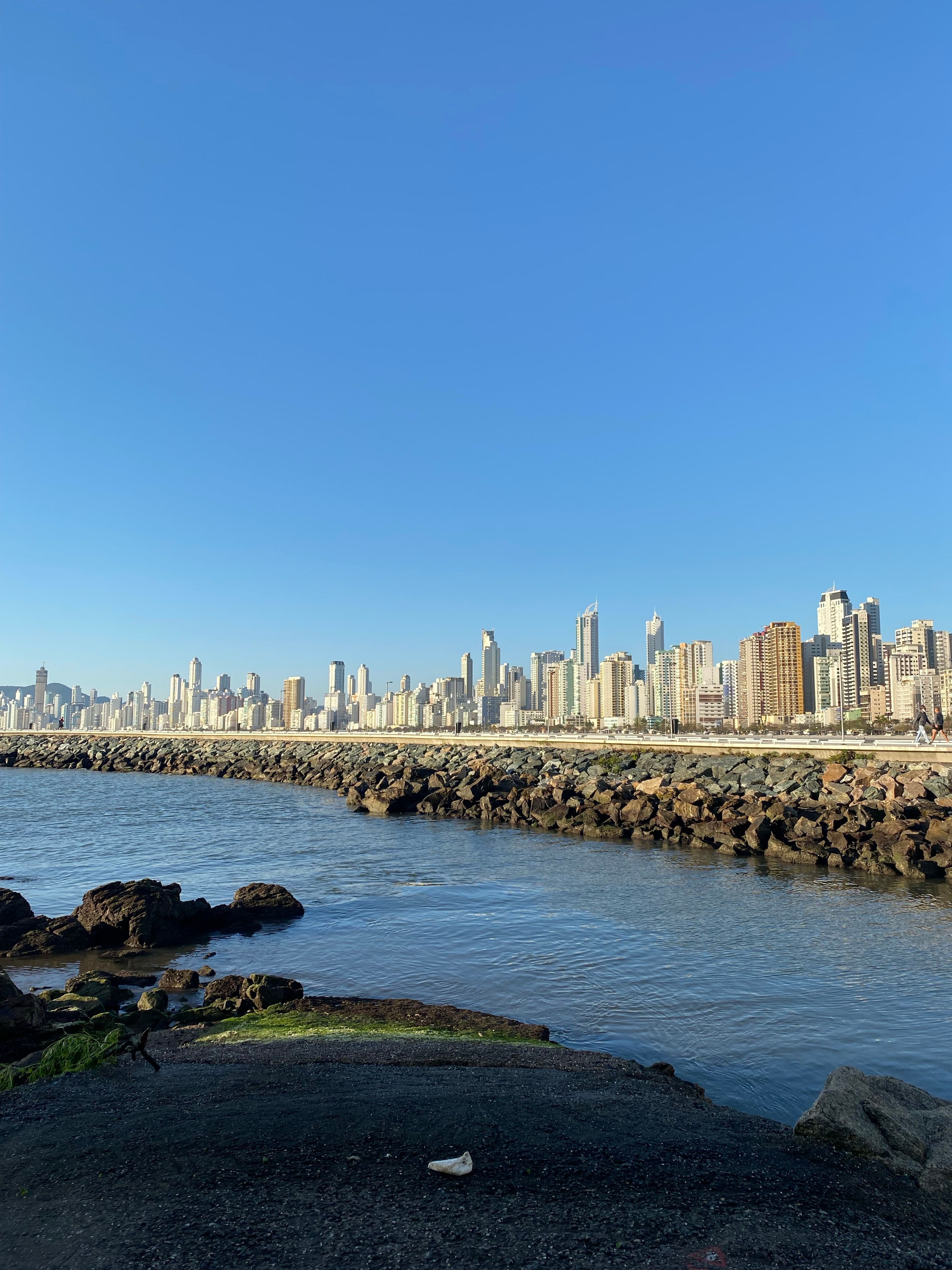 Image showcasing Stunning Coastal City Skyline on a Clear Day · Free Stock Photo
