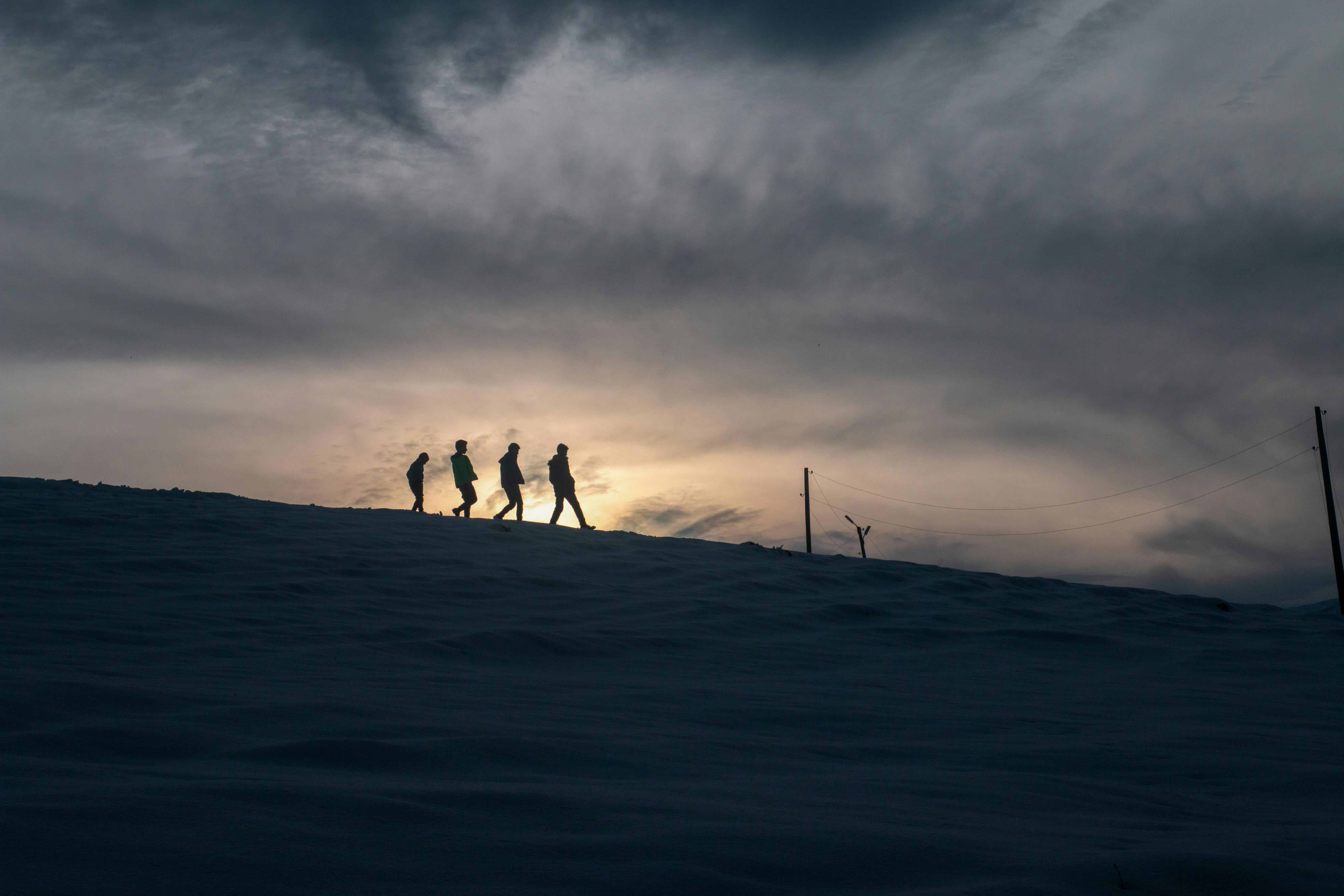 무료 카르스 스톡 사진