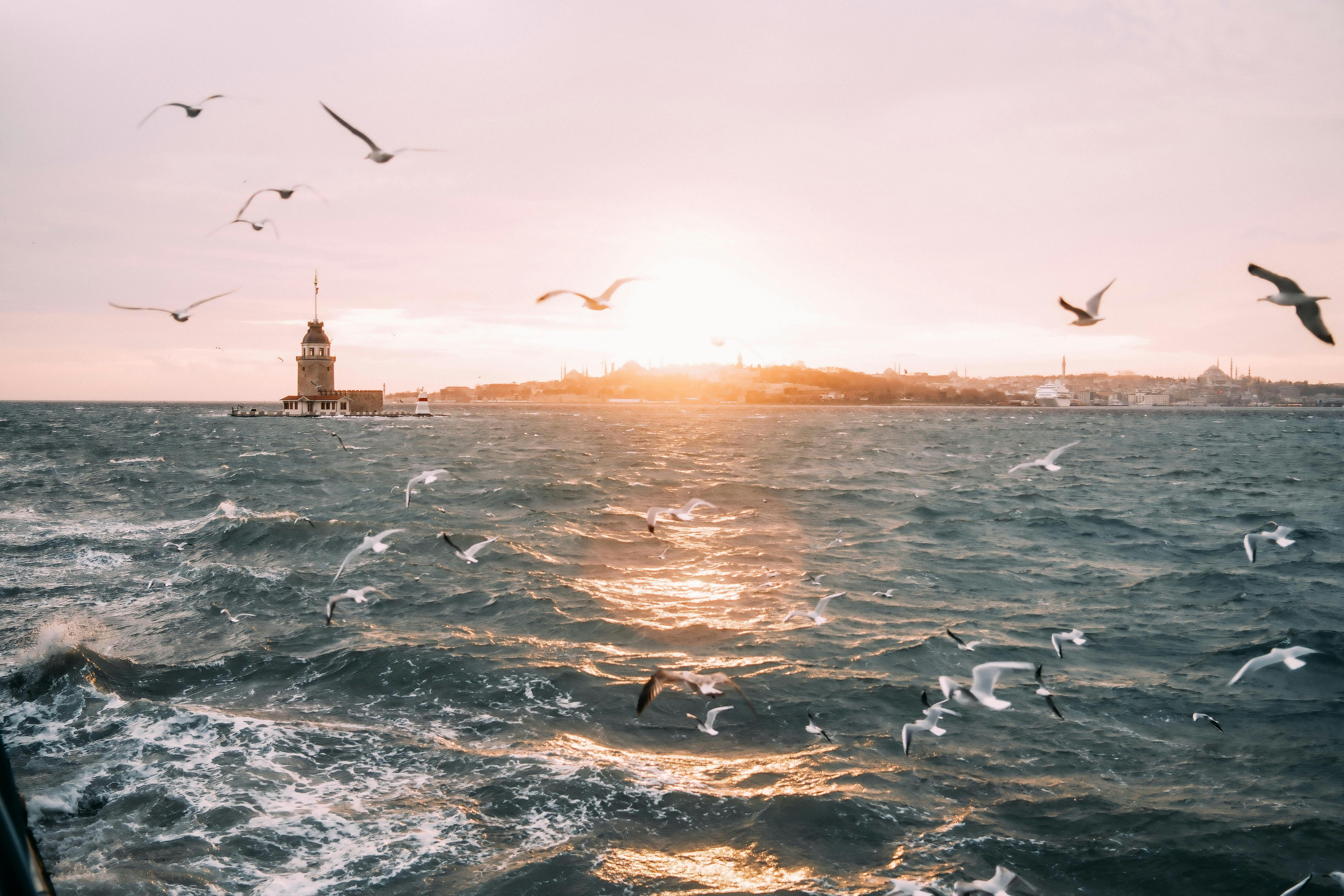 Dean Koontz Writing Popular Fictionl