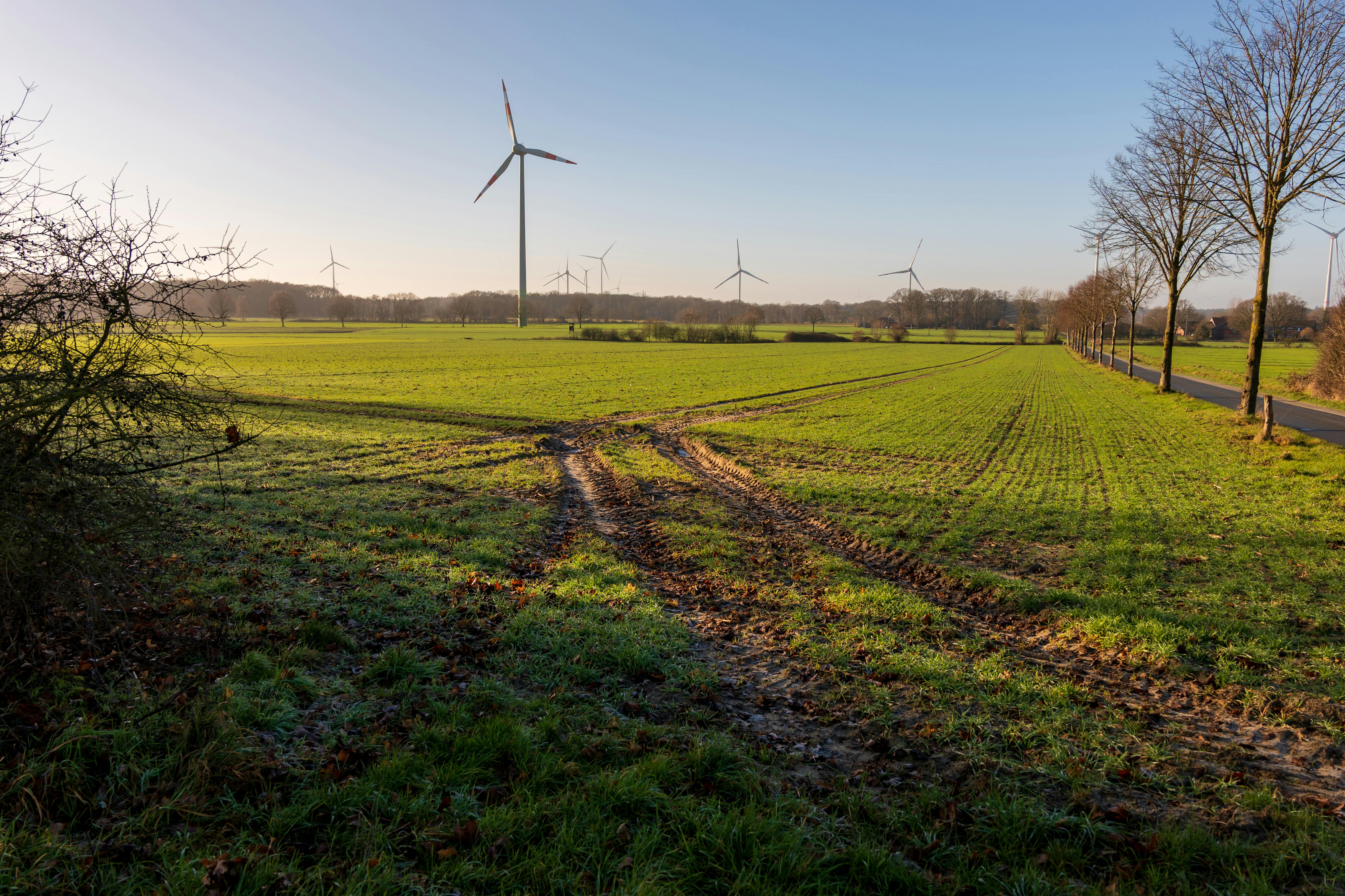 is green energy sustainable, green energy for life, sustainable energy issues, a green and sustainable life, green energy and