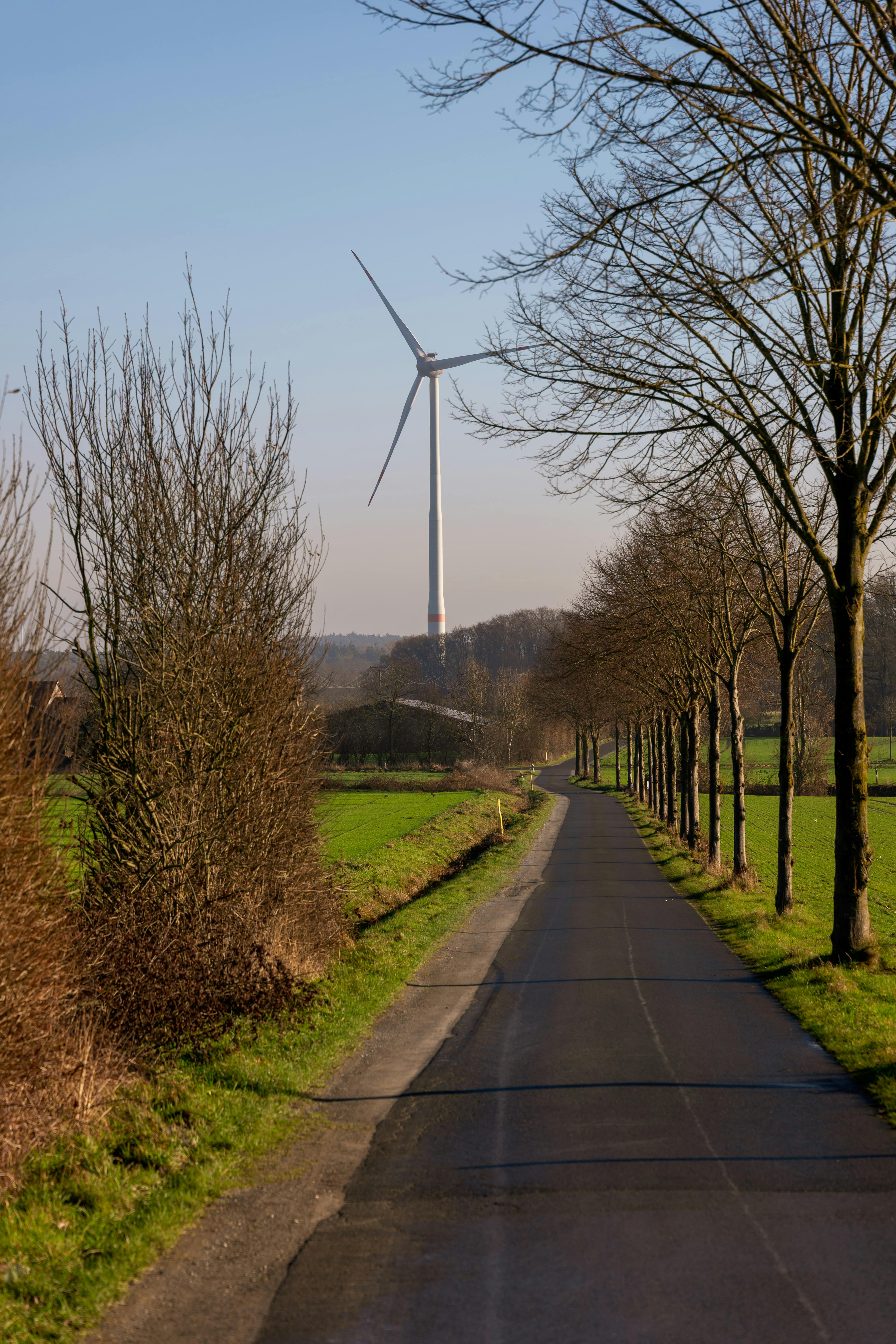 Schauberger Viktor Windmill Vortex