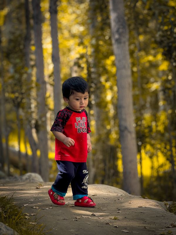 Niño caminando por un sendero en el bosque