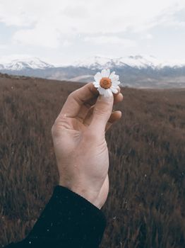 A hand holds a daisy with mountains in the background, highlighting nature's beauty.
