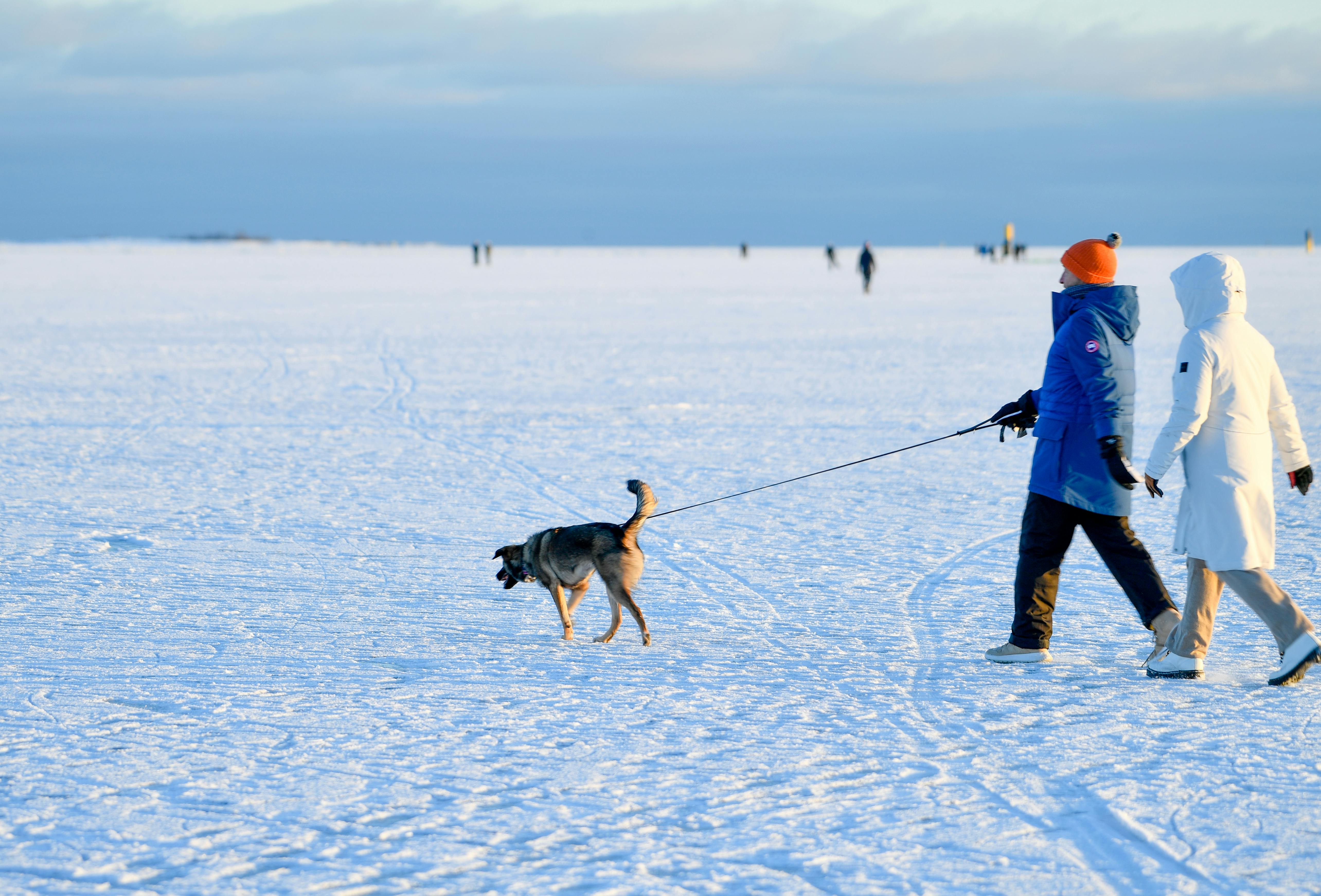 Finlandia: casos de RSE que promueven educación continua y bienestar mental laboral
