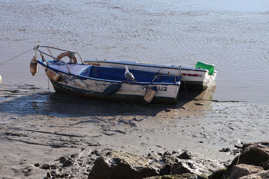 A small boat moored along a muddy riverbank with a seagull perched on it in El Puerto de Santa María, Spain.