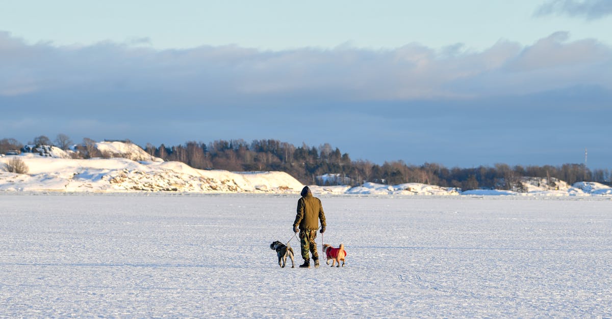 Fotos de stock gratuitas de actividad, actividad recreacional, al aire libre Fotos de stock gratuitas de actividad, actividad recreacional, al aire libre