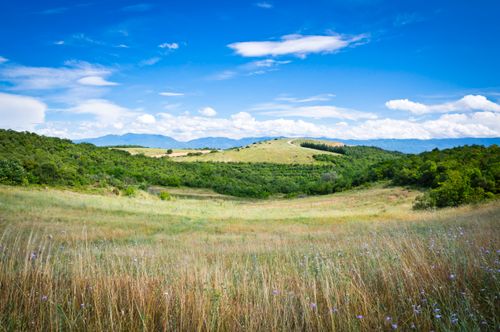 Free Expansive green hills and meadow under a bright blue sky with fluffy clouds, showcasing vibrant summertime nature. Stock Photo