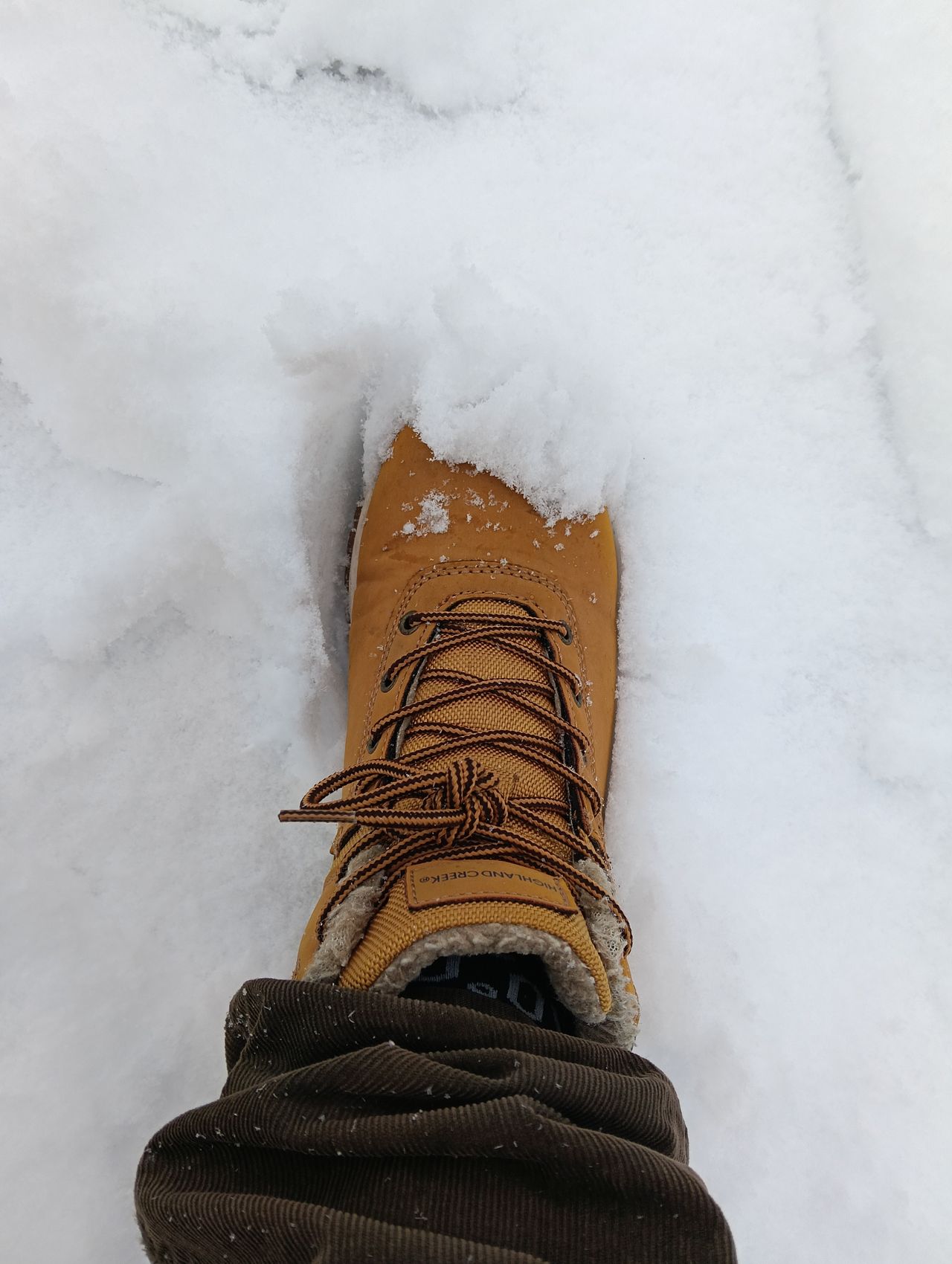 a tan lace-up boot stepping into deep snow