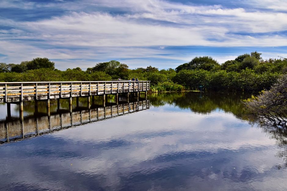KINGS POINT DELRAY BEACH: 98th Resident Arrested As Community Closes In On 100 2 Tranquil view of a boardwalk reflecting on a serene lake surrounded by lush greenery in Delray Beach, Florida. | BocaVibe