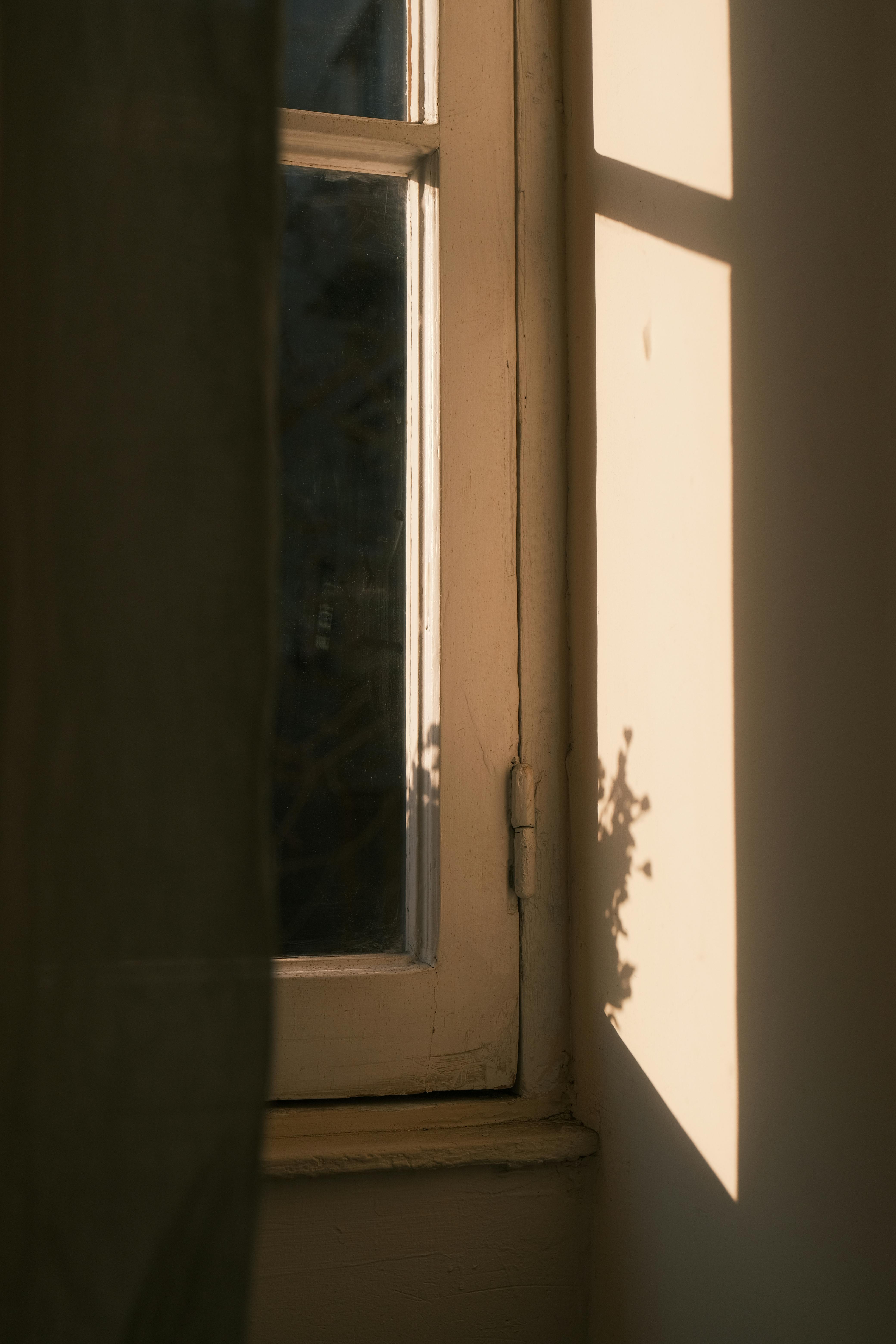 grátis A luz quente do sol projeta sombras através de uma janela, criando uma cena interior tranquila. Foto profissional