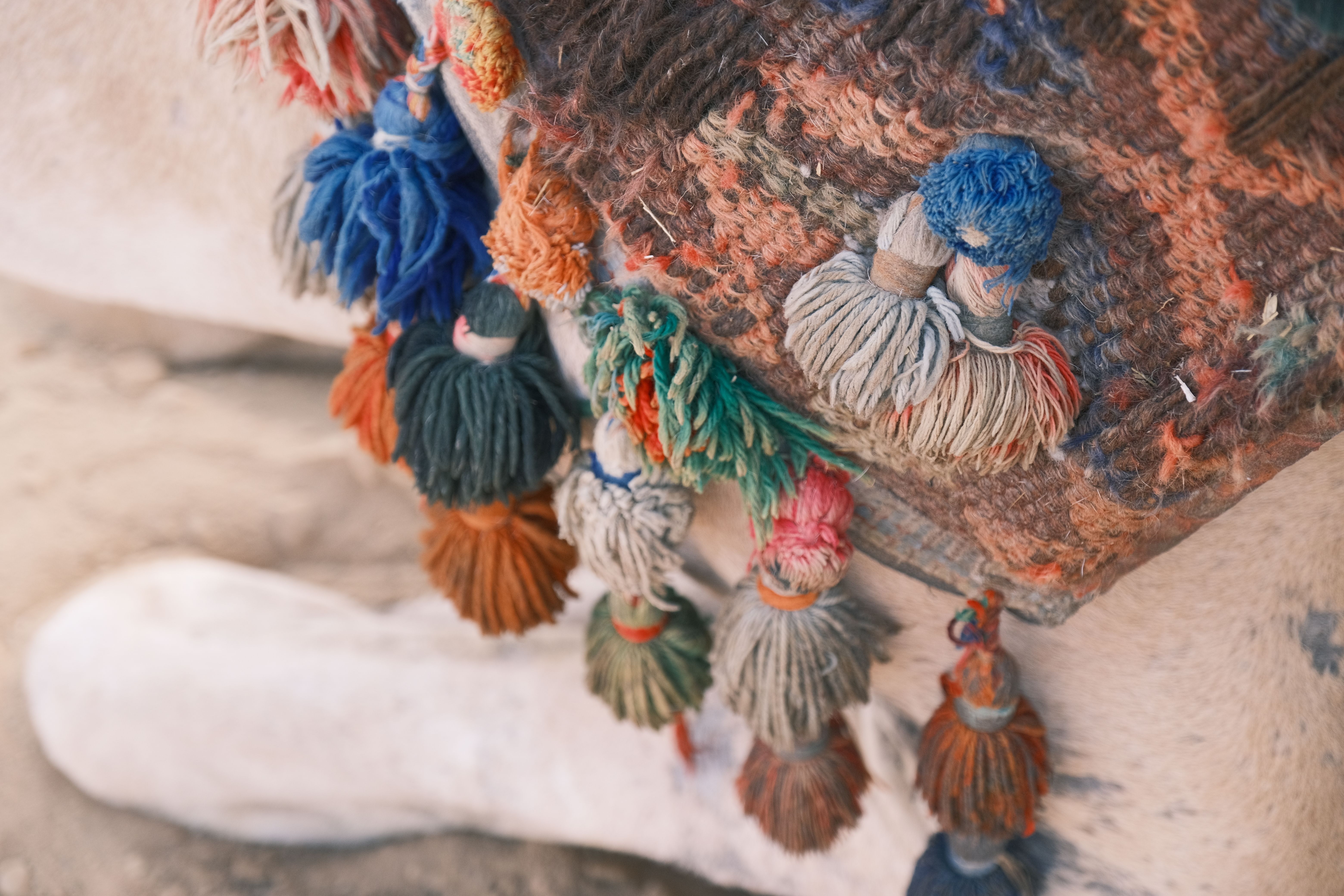 Blankets (other than electric blankets) and travelling rugs; of wool or of fine animal hair