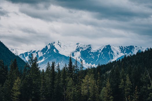Breathtaking view of snowy mountain peaks surrounded by dense forest under a cloudy sky.